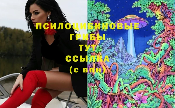 прущая мука Елизово