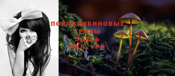 прущая мука Елизово