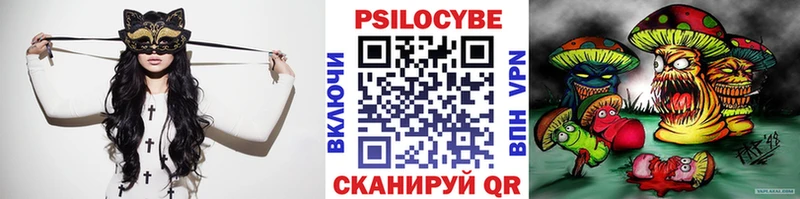 Псилоцибиновые грибы Cubensis  Заволжье 